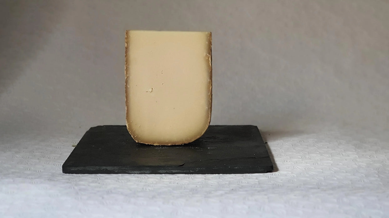 Pyrenees Brebis